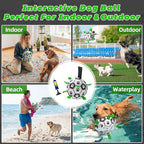 QDAN Dog Toys for Small Medium Puppy, Soccer Ball for Dogs with Straps, Dog Herding Balls, Birthday Toy Gifts, (Black Greem, 6 Inch)