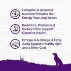 Wellness Complete Health Dry Dog Food with Grains, Natural Ingredients, Made in USA with Real Meat, All Breeds, For Adult Dogs (Whitefish & Sweet Potato, 5-Pound Bag)