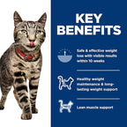 Hill's Science Diet Perfect Weight, Adult 1-6, Weight Management Support, Wet Cat Food, Turkey & Vegetables Stew, 2.9 oz Can, Case of 24