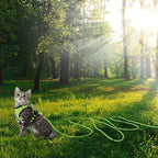 Reflective Cat Leash -50FT Cat Cable Out Escape Proof Walking Leads Yard Long Durable Safe Leash Traning Play Outdoor for Puppies/Kittens/Small Animals(Green)