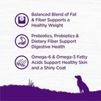 Wellness Complete Health Dry Dog Food, Wholesome Grains, Natural, Healthy Weight Chicken & Peas Recipe, (24-Pound Bag)