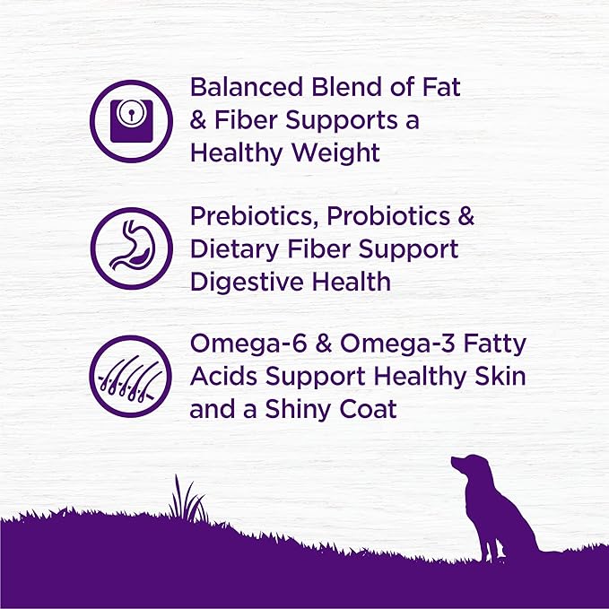 Wellness Complete Health Dry Dog Food, Wholesome Grains, Natural, Healthy Weight Chicken & Peas Recipe, (24-Pound Bag)