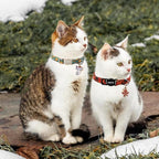 ARING PET 2 Pack Cat Collars, Breakaway Cotton Fall Halloween Kitten Collar with Bells for Girl Boy Cats Pumpkin & Autumn Leaf
