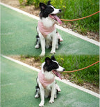 Waterproof Dog Raincoat, Adjustable Lightweight Dog Rain Jacket with Reflective Strip Leash Hole for Small Medium Large Dogs (Pink, Large(22-37lb))