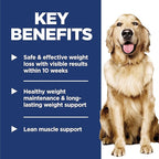 Hill's Science Diet Perfect Weight, Adult 1-6, Weight Management Support, Wet Dog Food, Salmon & Vegetables Stew, 2.8 oz Pouch, Case of 24