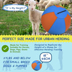 Herding Ball for Dogs - 18" Medium Herding Ball with Anti-Burst Cover and Pump, Outdoor Dog Exercise Toy for Australian Shepherd, German Shepherd, Collie (Blue & Orange)