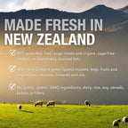 K9 Natural Wet Dog Food Pate, Lamb & King Salmon Feast, 13 Oz Cans (Pack of 12), Grain Free, Made in New Zealand with Grass-Fed, Free-Range Lamb and Sustainably Caught King Salmon