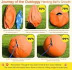 Herding Ball for Dogs 18 Inch - Dual-Layer Heavy Duty Herding Ball for Australian Shepherds, Border Collies & Corgis | Outdoor Herding Toy for Small/Medium Dogs - Backyard Training and Play - Orange