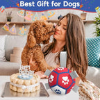 Diman Small Dog Toys Soccer Ball with Straps,Interactive Dog Balls for Tug of War, Yard Games, Dog Waterpool Toy, Herding Ball for Small Dogs, Pet Birthday Gifts Boredom Buster (5inch)