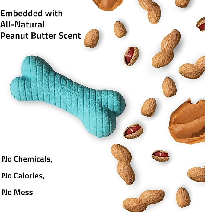 Playology Dog Toys | Dual Layer Bone Durable Chew Toy Bone for Dogs | Medium Peanut Butter Scented Toy - Easy to Clean and Made from Non Toxic Materials