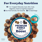 Solid Gold Lamb Dog Food Dry for Adult & Senior Dogs– High Protein Healthy Dog Kibble for Medium & Large Breeds – Whole Grain, Omega 3 & Probiotics for Gut Health & Digestion – Nutrientboost™ –3.75LB