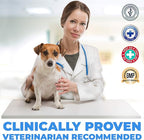 Forticept Dog and Cat Ear Infection Treatment, Dog Ear Drops with 1% Hydrocortisone 2 oz