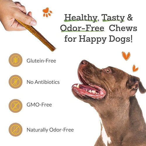 Advance Pet Products 6 Inch Bully Sticks (Pack of 10) - 100% Beef, Odor Free Dog Chews for Aggressive Chewers - Long Lasting, Gluten-Free, Easy to Digest, High Protein & Rawhide Free Chews for Dogs