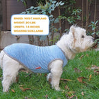 KYEESE 2 Pack Dog Shirts Quick Dry Soft Stretchy Dog T-Shirts with Reflective Label Tank Top Sleeveless Vest Sun Protection Pet Clothes for Small Dogs, Large, Light Blue+Grey