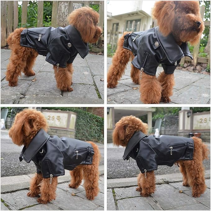 Lovelonglong Cool Dog Leather Jacket, Warm Coats Dogs Windproof Cold Weather Coats for Large Medium Small Dogs, Beagle Clothing Black L-S