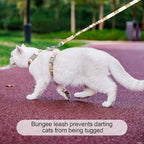 BEAUTYZOO Cat Harness and Leash Set Escape Proof for Walking, Kitten Soft Adjustable Vest Harnesses for Small Medium Large Cats, Easy Control Breathable Plaid Ribbon Nylon for Outdoor Indoor Use