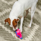 Outward Hound Durablez Minis Stuffing-Free Squeaky Plush Dog Toy for Puppies & Small Dogs - Interactive, Soft Yet Tough, No Mess, Jumbo Squeaker, Long-Lasting Play, Pig
