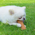 MON2SUN Dog Treats Chicken Jerky Pumpkin Flavor, Rawhide-Free, Gluten-Free, Healthy Jerky Snacks for Small Dogs, 10.6 oz