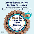Solid Gold Bison Dry Dog Food for Large Dogs – High Protein, Whole Grain Kibble with Real Bison, Brown Rice & Omega 3 – Large Kibble w/Probiotics for Gut Health - Adult Dog Food - Nutrientboost™– 11LB