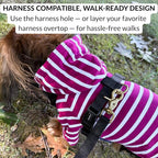 DJANGO Dog Hoodie – Warm, Lightweight, Soft & Stretchy Dog Sweater with Hood, Harness Hole & Elastic Waistband – Cozy Sweatshirt for Small Dogs up to 25 lbs, Dachshunds & Puppies – Boysenberry, Small