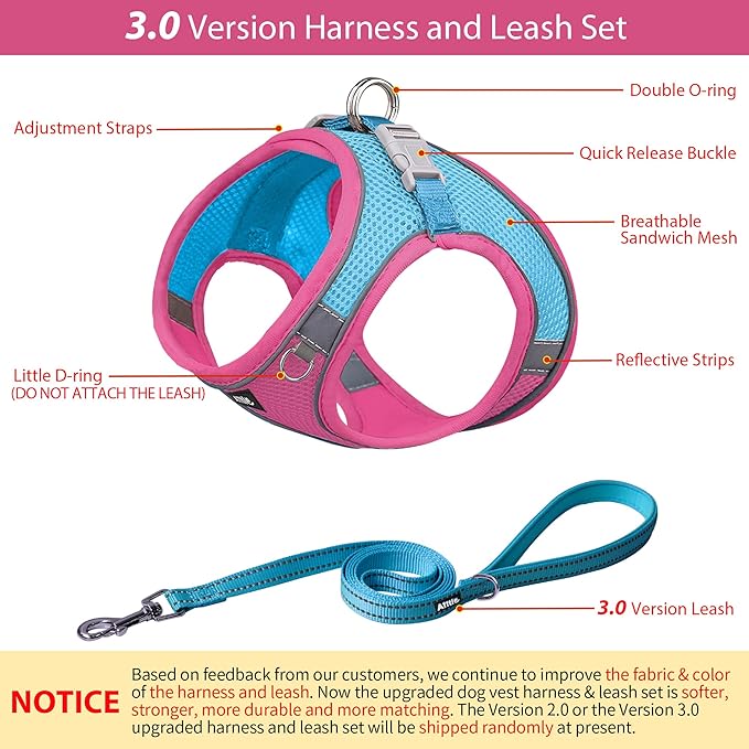 AIITLE Easy Walk Dog Harness and Leash Set - Pet Supply No Pull, Step in Adjustable Pet Harnesses with Padded Vest for Summer, No Choke Over, Easy to Put on Medium Dogs Hot Pink L