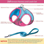 AIITLE Comfortable Dog Harness and Leash Set for Walking - Summer Step in Vest Harness,Reflective Bands, Adjustable No Pull Puppy Essentials, for Small Dogs and House Cats Hot Pink XS