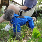 LOVELONGLONG Waterproof Dog Raincoat with Removable Hood – Outdoor Full Body Dog Jacket, Windproof Snowproof Shell Suit – All Season Pet Rain Gear Blue XXS
