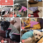KYEESE 2 Pack Dog Shirts Quick Dry Soft Stretchy Dog T-Shirts with Reflective Label Tank Top Sleeveless Vest Sun Protection Pet Clothes for Small Pet, Coral Red+Grey, L