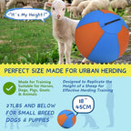 Herding Ball for Dogs and Horses - 18" Jolly Ball for Dogs, Agility Training Equipment, Herding for Australian/German Shepherd, Improved Bite-Resistant, Reinforced Sewing Dog Toys - Blue&Orange (NEW)