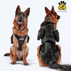 Forestpaw Dog Harness Medium Sized,Tactical Dog Harness with Handle,No Pull Military Style Service Dog Vest with Pockets Adjustable for Medium Dogs,Black,Chest 19.5-41.5"