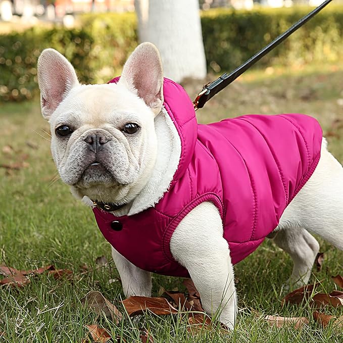 Windproof Waterproof Dog Coat Fleece & Cotton Lined Warm Jacket, Cold Weather Pet Apparel Clothes Vest for Small Medium Large Dog (XS, Pink)