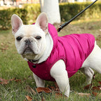 Windproof Waterproof Dog Coat - Fleece & Cotton Lined Warm Dog Jacket, Cold Weather Pet Apparel Clothes Vest - Sizes S to 3XL (Pink)