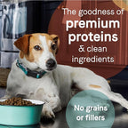 Canidae Pure Limited Ingredient Premium Adult Dry Dog Food, Real Chicken, Lentil & Potato Recipe, 4 lbs, Grain Free