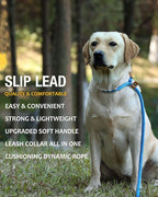 lynxking 8 FT Dog Leash Slip Lead 2 Pack Strong Heavy Duty Braided Dog Training Leash No Pull Training Lead Leashes for Medium Large and Small Dogs