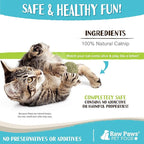Raw Paws Catnip Balls for Cats, (6-Count) - Interactive Cat Toy for Indoor Cats - Cat Nip Licking Balls