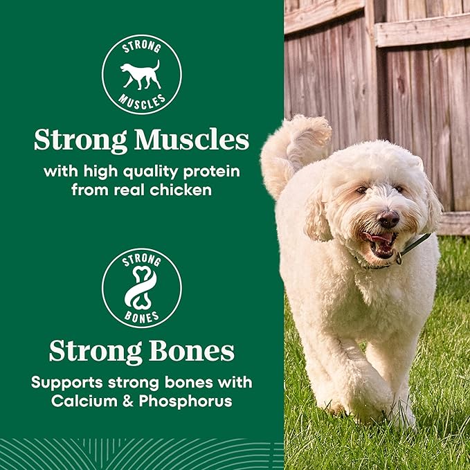 Nutro Natural Choice Chicken & Brown Rice Senior Dog Food Dry Recipe, 13 lb. Bag