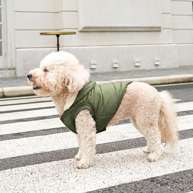 Extra Warm Dog Hoodie in Winter for Large Dogs Jacket Pet Coats with Hooded Green XXL