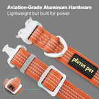Plutus Pet Reflective Dog Collar with Aviation Aluminum Buckle, Neoprene Padded for Comfort, Lightweight, Heavy Duty Nylon Collar for Puppy Small Medium Large Dogs (Orange, M)