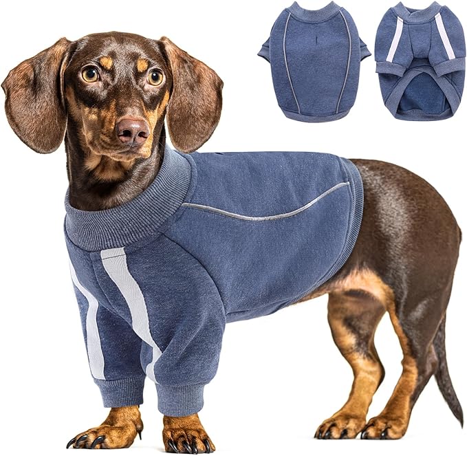 Queenmore Fleece Dog Sweater for Male Dogs, Soft Pullover Dog Sweatshirt with Leash Hole/Reflective Stripes – Cozy Winter Fleece Jacket for Small Medium Large Boy Puppy, Blue L