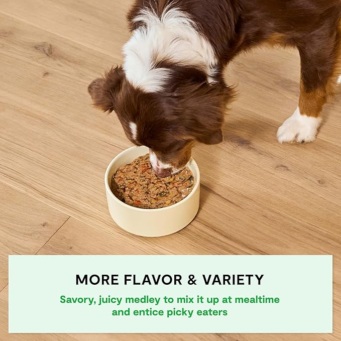 Open Farm Rustic Stews Wet Dog Food, Grain-Free, Complete & Balanced with Human-Grade Ingredients, Humanely-Raised Meat & Bone Broth, Grass-Fed Beef Recipe, 12.5oz Packs (Case of 12)