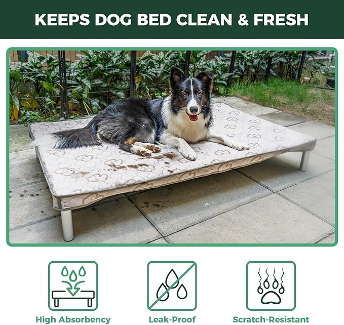 FXW TitanNest Chew-Proof Elevated Dog Bed, Raised Cot for Indoor/Outdoor/Camping Use, Durable & Washable Padded Pet Bed with Exclusive Cover for Toy Dogs, 24.0" L x 20.0" W x 4.1" H, Gray