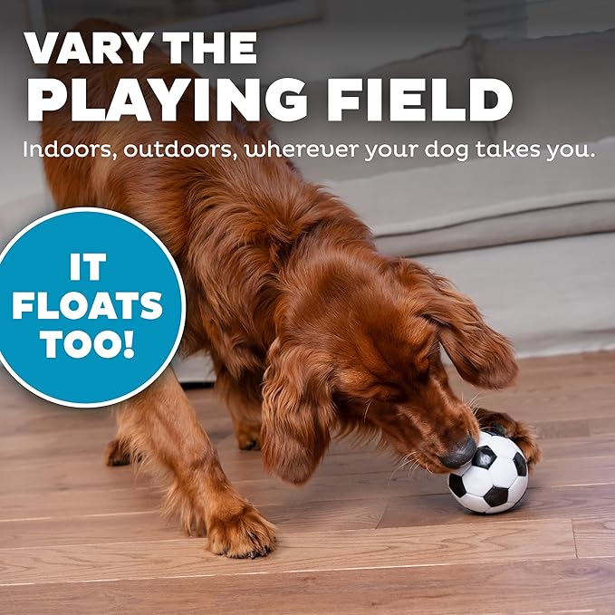 Outward Hound by Planet Dog Soccer Ball, Durable Treat-Dispensing Dog Ball, Interactive Fetch Toy, Orbee-Tuff, Mint Scented, BPA-Free, for Indoor & Outdoor Play, White