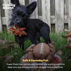Huxley & Kent Funny Dog Toy w/Squeaker – Thanksgiving Fall Power Plush Squeaky Dog Toys for Small, Medium & Large Dogs – Soft Stuffed Animal for Indoor Play & Fetch - Turkey Bowl, Jumbo