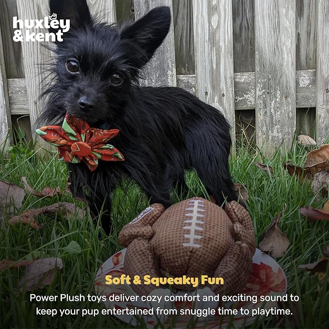 Huxley & Kent Funny Dog Toy w/Squeaker – Thanksgiving Fall Power Plush Squeaky Dog Toys for Small, Medium & Large Dogs – Soft Stuffed Animal for Indoor Play & Fetch - Turkey Bowl, Small
