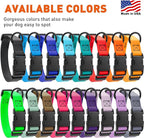 Dogline Biothane Waterproof Dog Collar with Quick Release Buckle Strong Coated Nylon Webbing with Odor- Proof for Easy Care Easy to Clean Fits Small Medium Large Dogs, Lime Green 5/8" W 9-14" L
