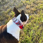 ADITYNA Heavy Duty Dog Collar for Large Dogs - Camo Red Blue Collar with Handle for Training, and Walking - Wide, Thick, Tactical, Soft Neoprene Padded
