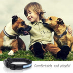 Light Up Dog Collar, Safety LED Dog Collars Rechargeable 7 Colors in One Lighted Dog Collar Glow in The Dark Dog Walking Light, Neon Durable Nylon Adjustable Buckle for Small/Medium/Large Dogs, M Size