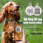 BronzeDog Rolled Leather Dog Collar with QR ID Tag, Adjustable Soft Round Collars for Small Medium Large Dogs Puppy (14" - 16" Neck Size, Classic Red)