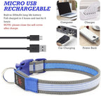 YFbrite Full Adjustbale LED Dog Collar, Full Illuminated Light up Dog Collars, Reflective Dog Collar Light Glowing in The Dark for All Dogs Safety (Medium, Blue-2)