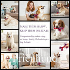 6-Pack Indestructible Dog Toys for Large Breed: Dog Toys for Aggressive Chewers, Nylon Dog Chew Bones for Large Dogs, Dog, Irresistible Beef Flavor